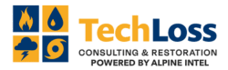 TechLoss - Consulting & Restoration